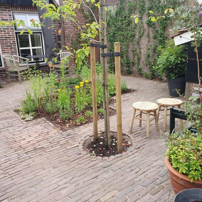 Citycottage Alkmaar Exteriör bild
